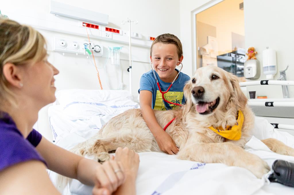 Hungary's Semmelweis university discovers how animals can help us heal (Copy)