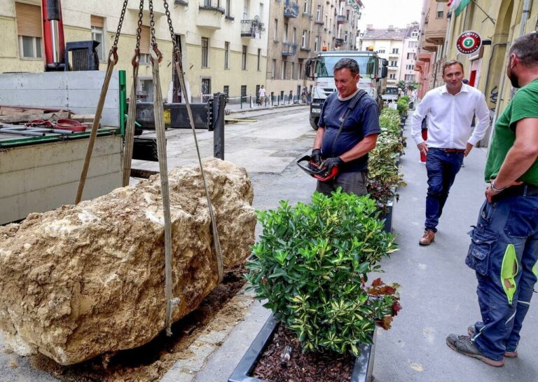 medieval cemetery remains budapest