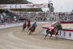 Nemzeti Vágta, a truly Hungarian horse race - photo gallery