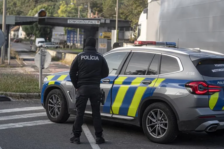 Slovenia border control