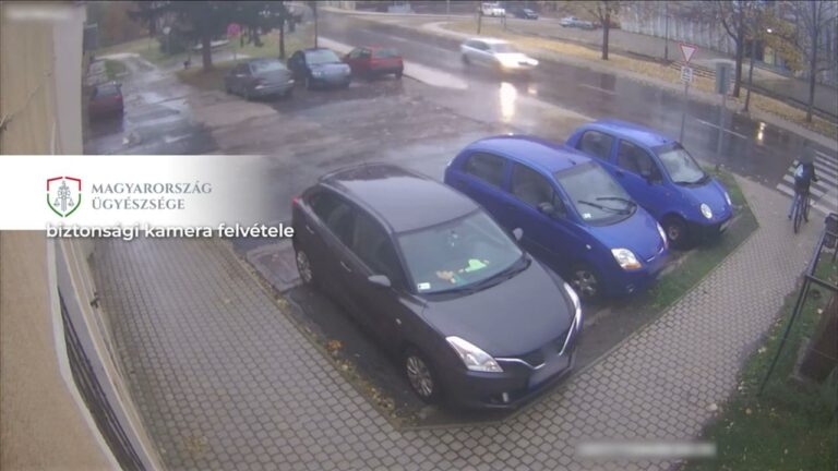 Video footage of a teenager being hit by a car at a zebra crossing in Hungary