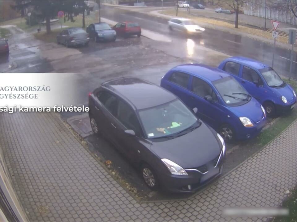 匈牙利一名青少年在斑馬線上被車撞的影片片段