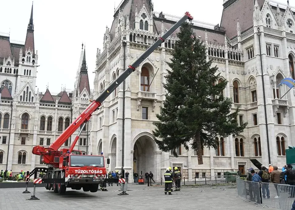 Рождественская елка в Будапеште, Венгрия