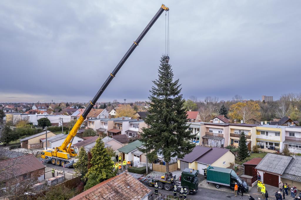 Budapest Hungary Christmas tree