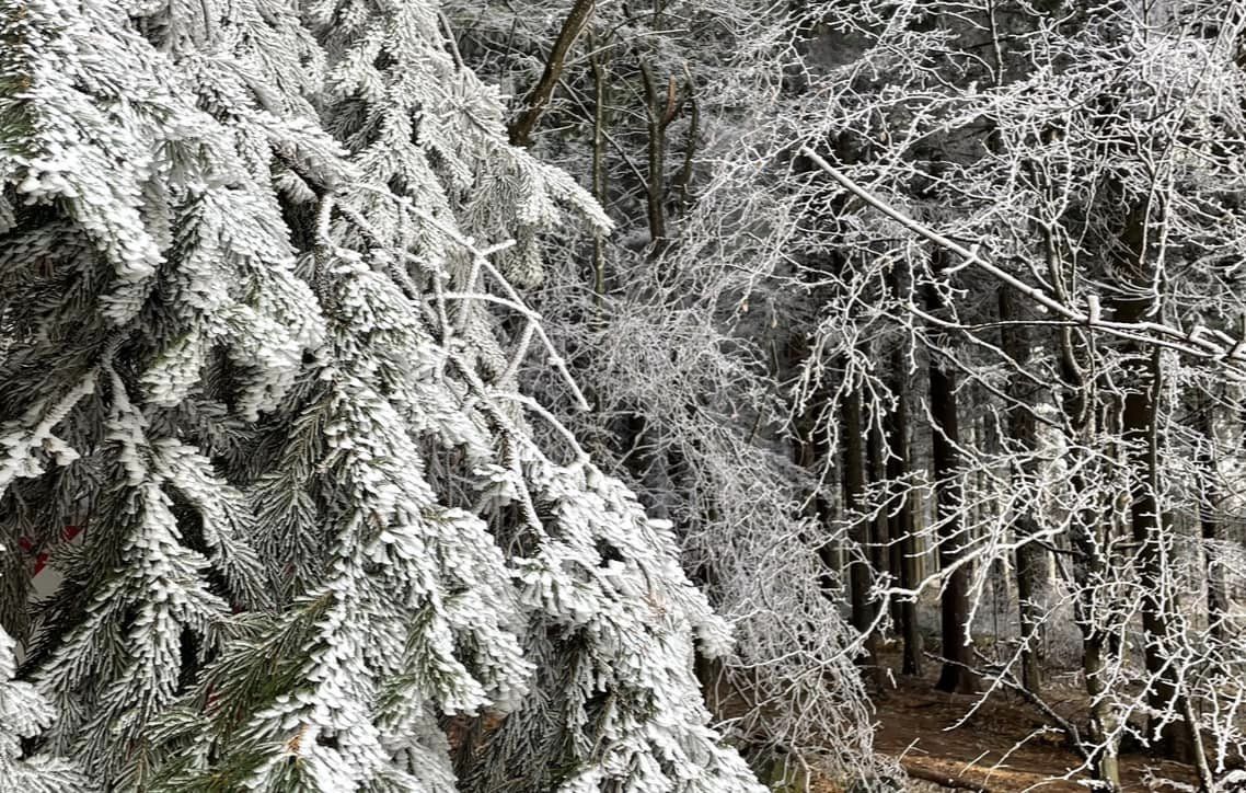 snow in Mátra