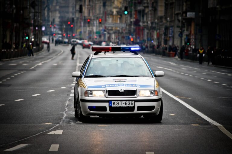 Hungarian police car murder