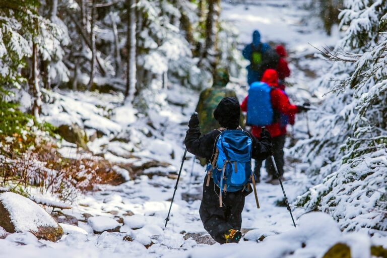 winter hike