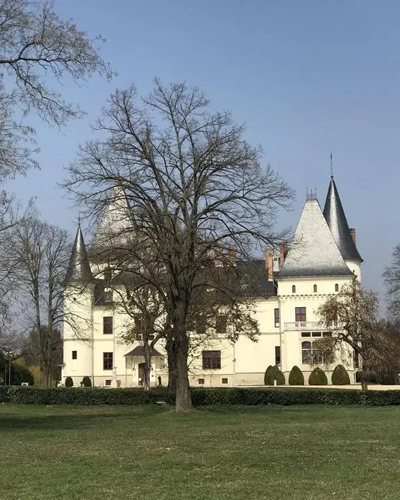 Un château de conte de fées hongrois ouvre ses portes en décembre (Copie)