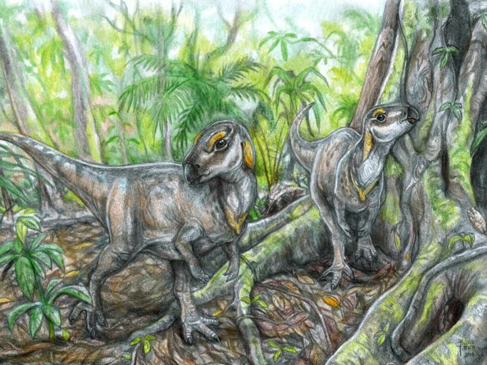ілюстрація динозавра