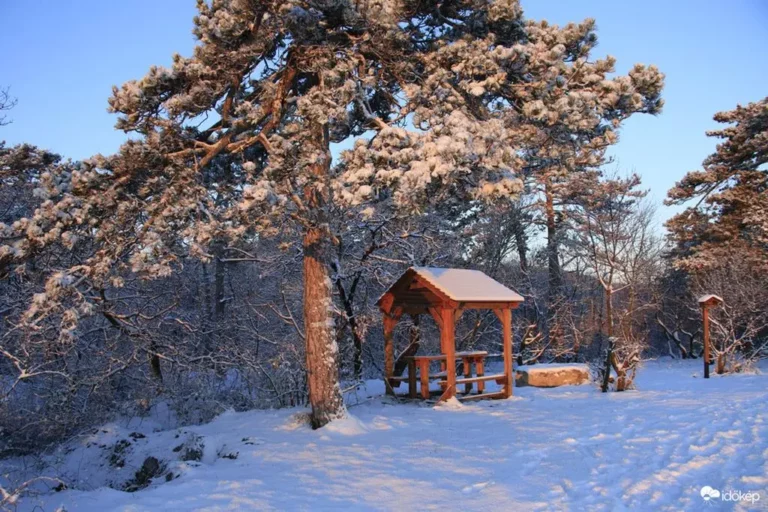 Ungheria ieri coperta da 12 cm di neve, ma domani arriverà la primavera (Copy)