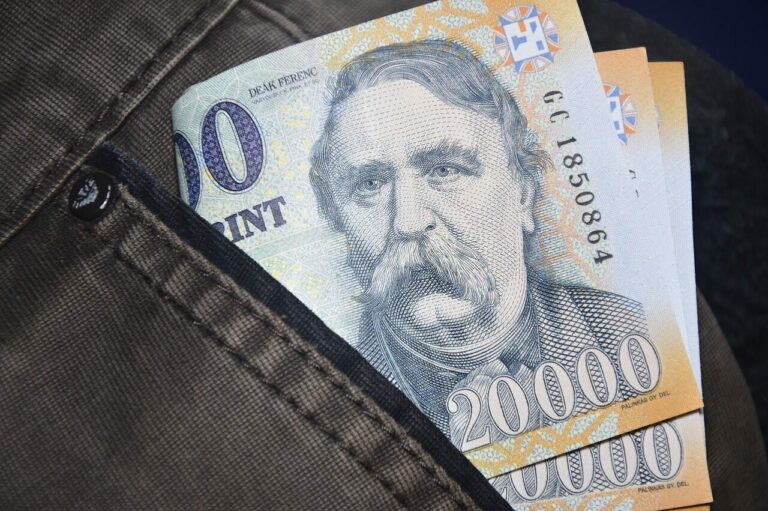 huf forint money hungary's economy wage financial health