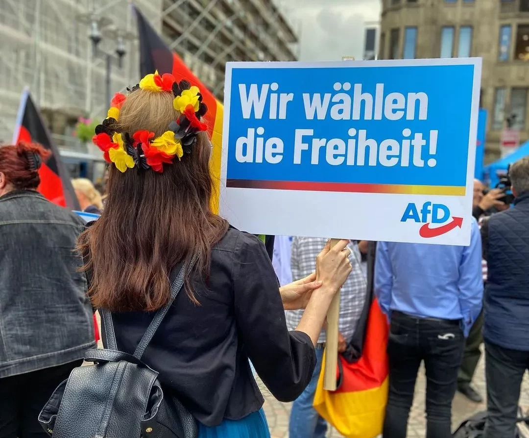 This Hungarian party is the German AfD's biggest ally