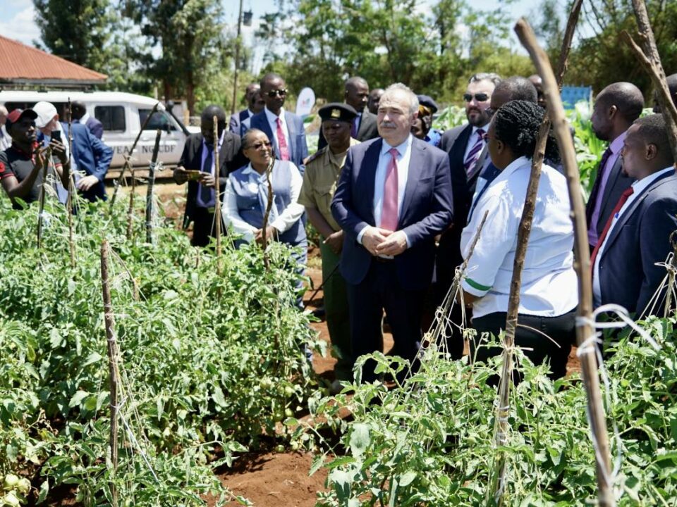 قامت الحكومة المجرية ببناء مزرعة نموذجية في كينيا