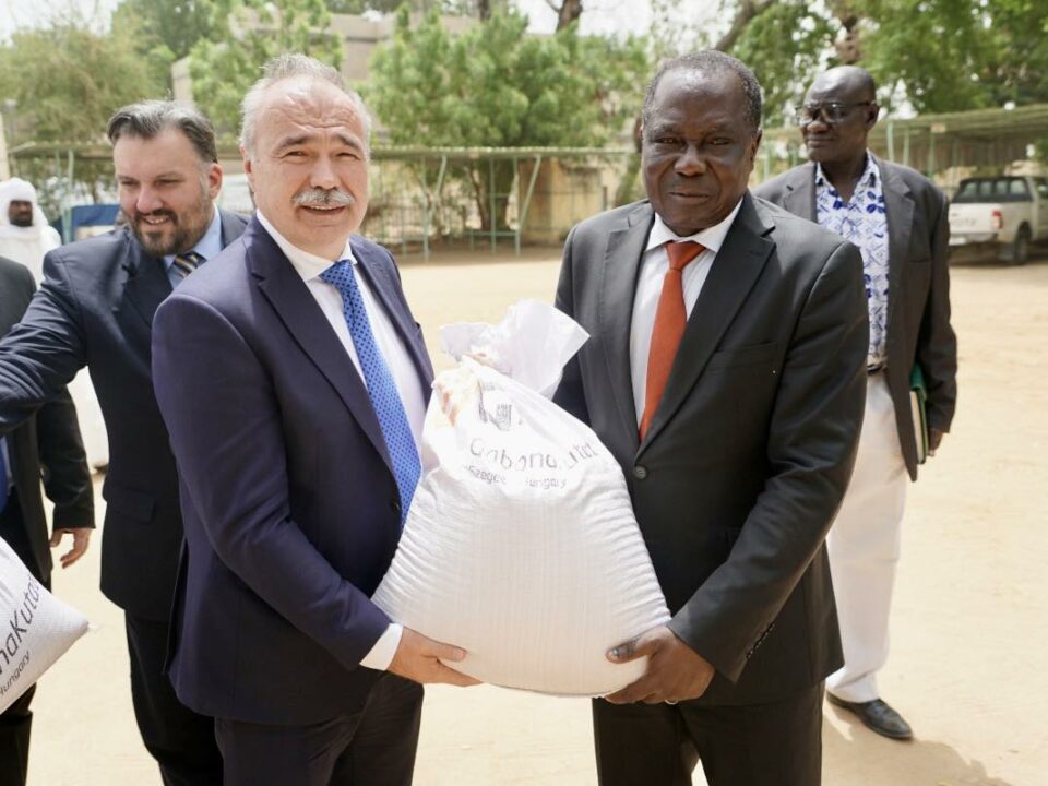 Le ministre hongrois promet une coopération avec le Tchad à N'Djamena