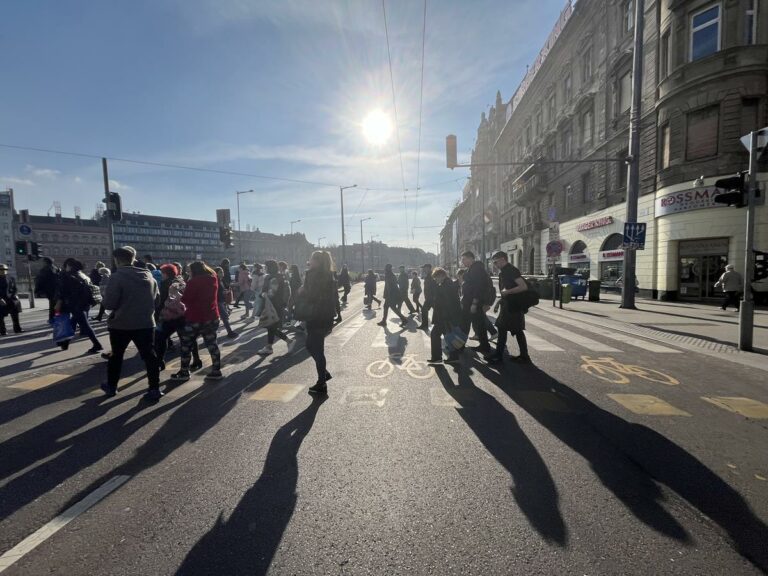 Hungarians people budapest society street survey life expectancy at birth