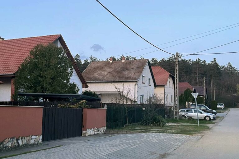 Hungary house real estate village garden rent Hungarian real estate home in Hungary