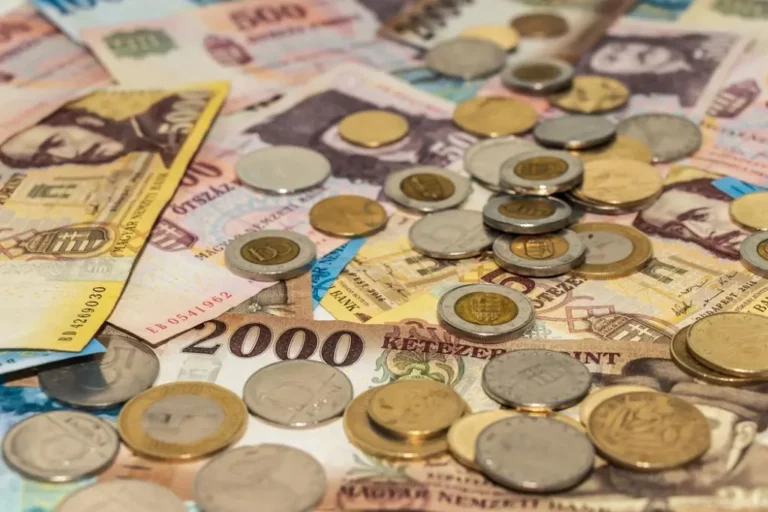 forint argent collectionneur pièce de monnaie banque centrale