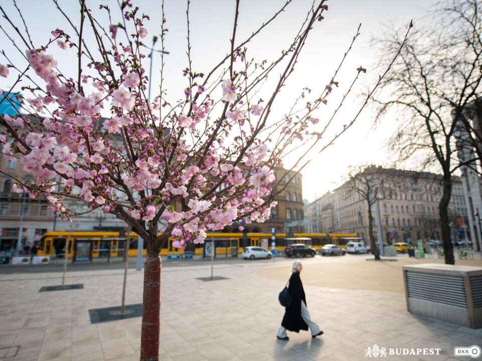 Spring arrived in Budapest