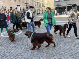 St Patrick's Day celebrations in Budapest, Hungary - 2024. Photo: Daily News Hungary