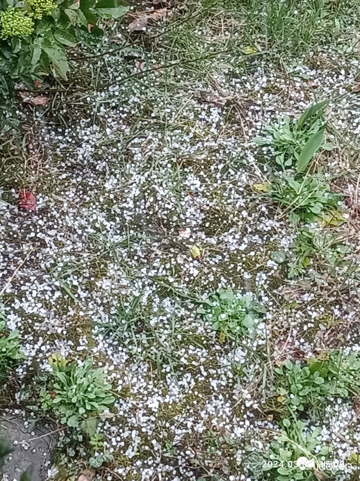 hailstorm ice