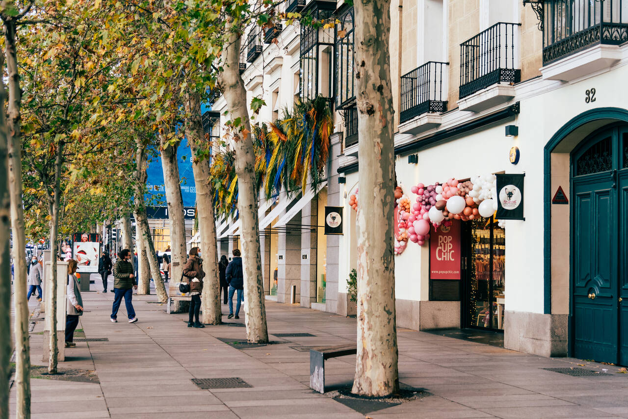 serrano street madrid spain