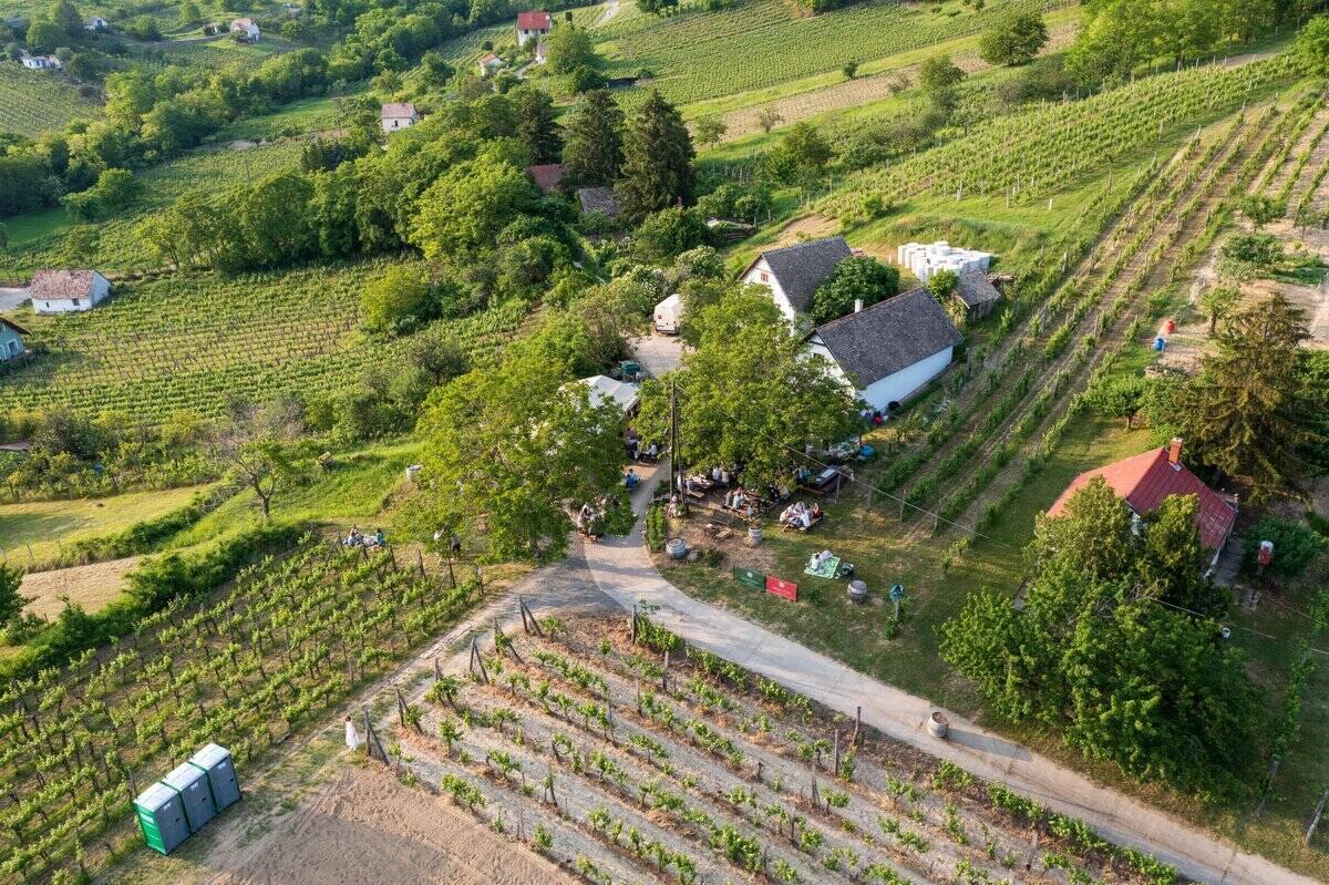 Szekszárd wine region