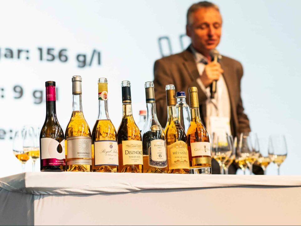 हंगेरियन वाइन शिखर सम्मेलन 2024 - 7