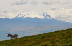 ecuador