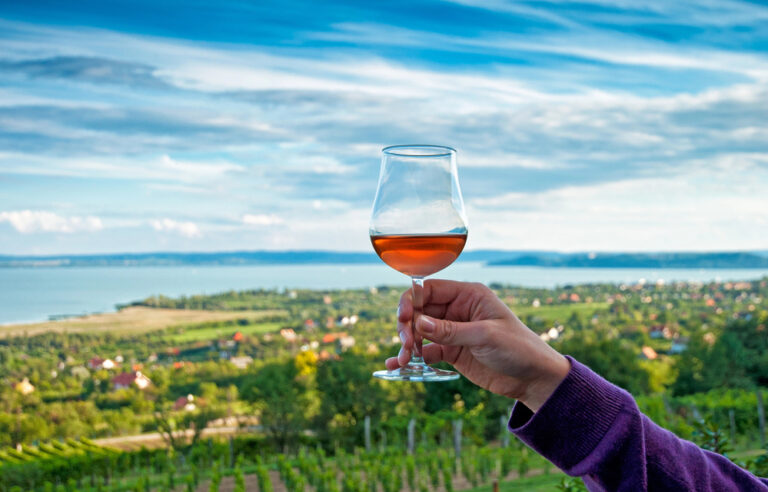 hungarian gastronomy wine