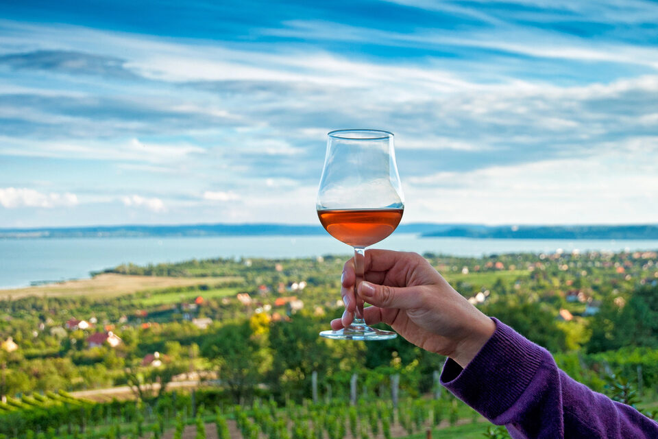 hungarian gastronomy wine