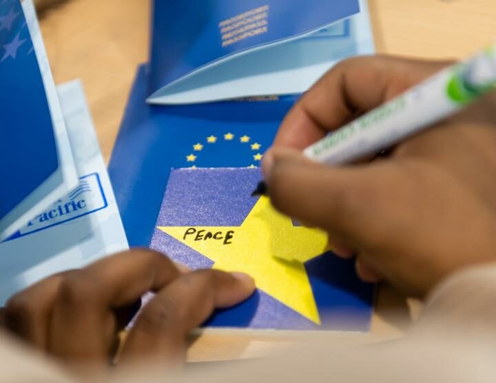 Decision between war and peace the top issue in EP election (Copy)