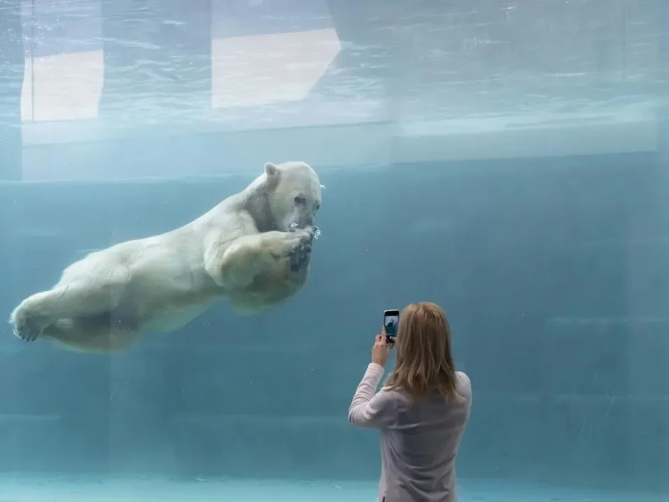 Ice World in Nyíregyháza Zoo