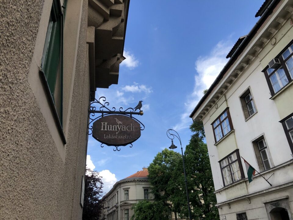 Ворон з кільцем у дзьобі в Будапешті