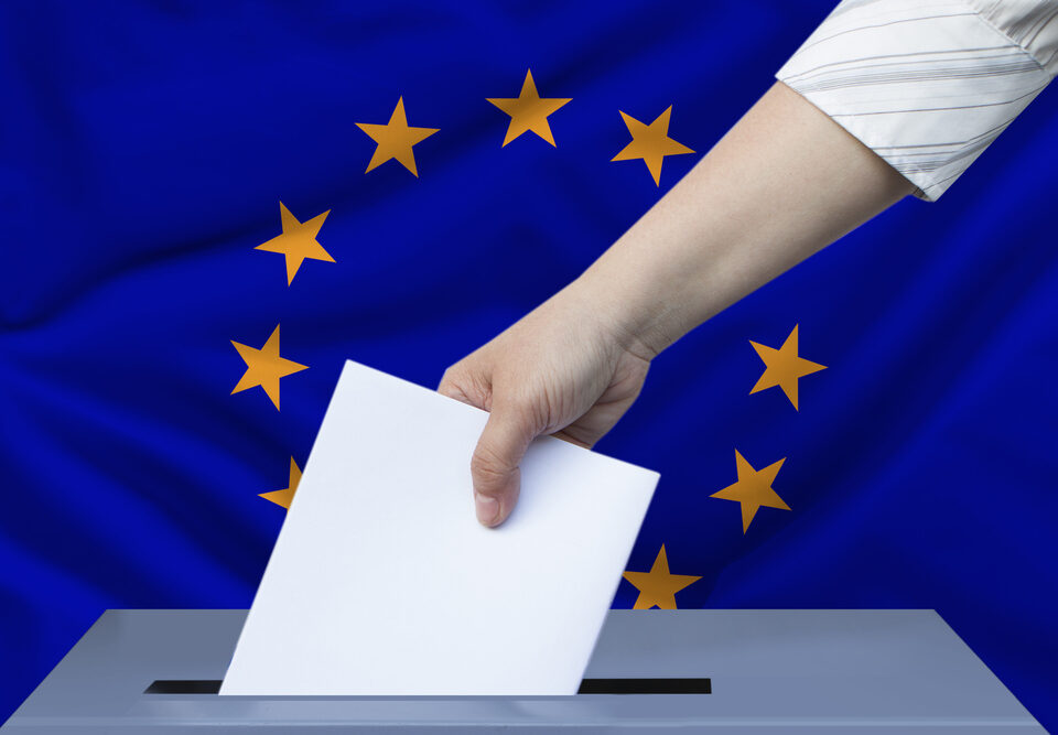 вибори до європейського парламенту 2024