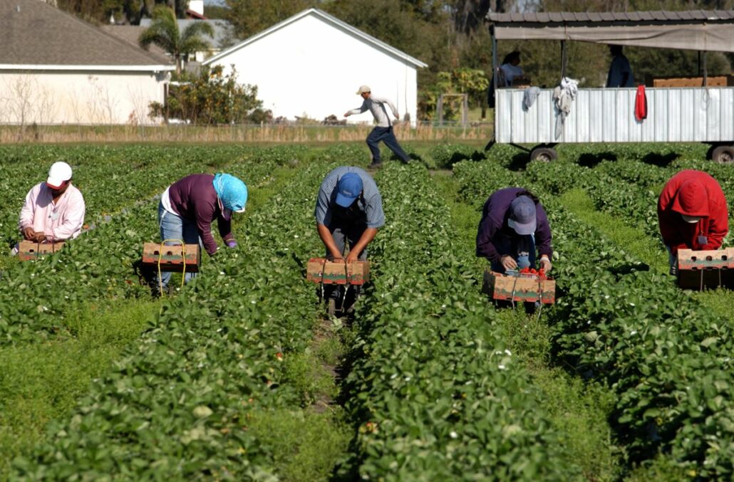 foreign workers agriculture