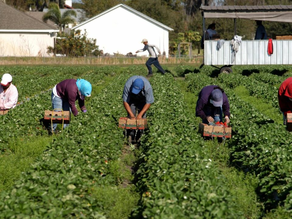 foreign workers agriculture