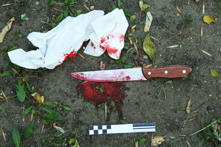 stabbing in hungary