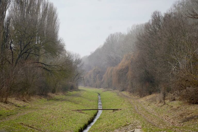 Budapest Airport one the last Hungarian marshes