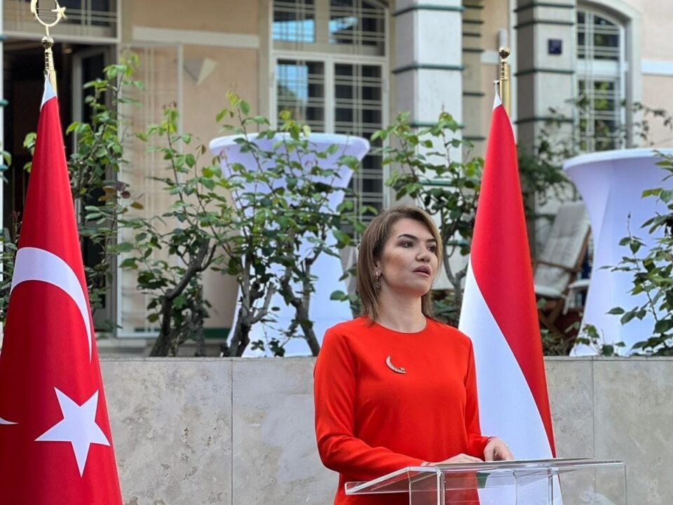 Gülsen Karanis Eksioglu turkish ambassador