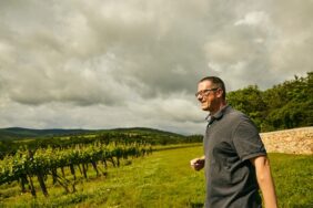 Hungarian wine among the world's best