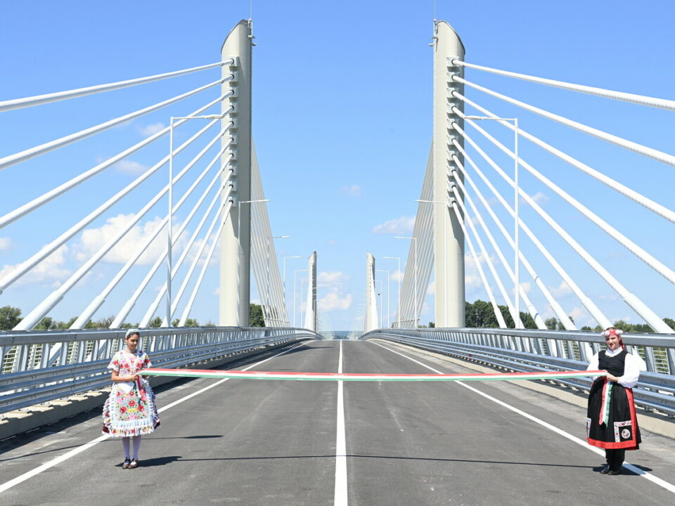 new danube bridge pál tomori investment
