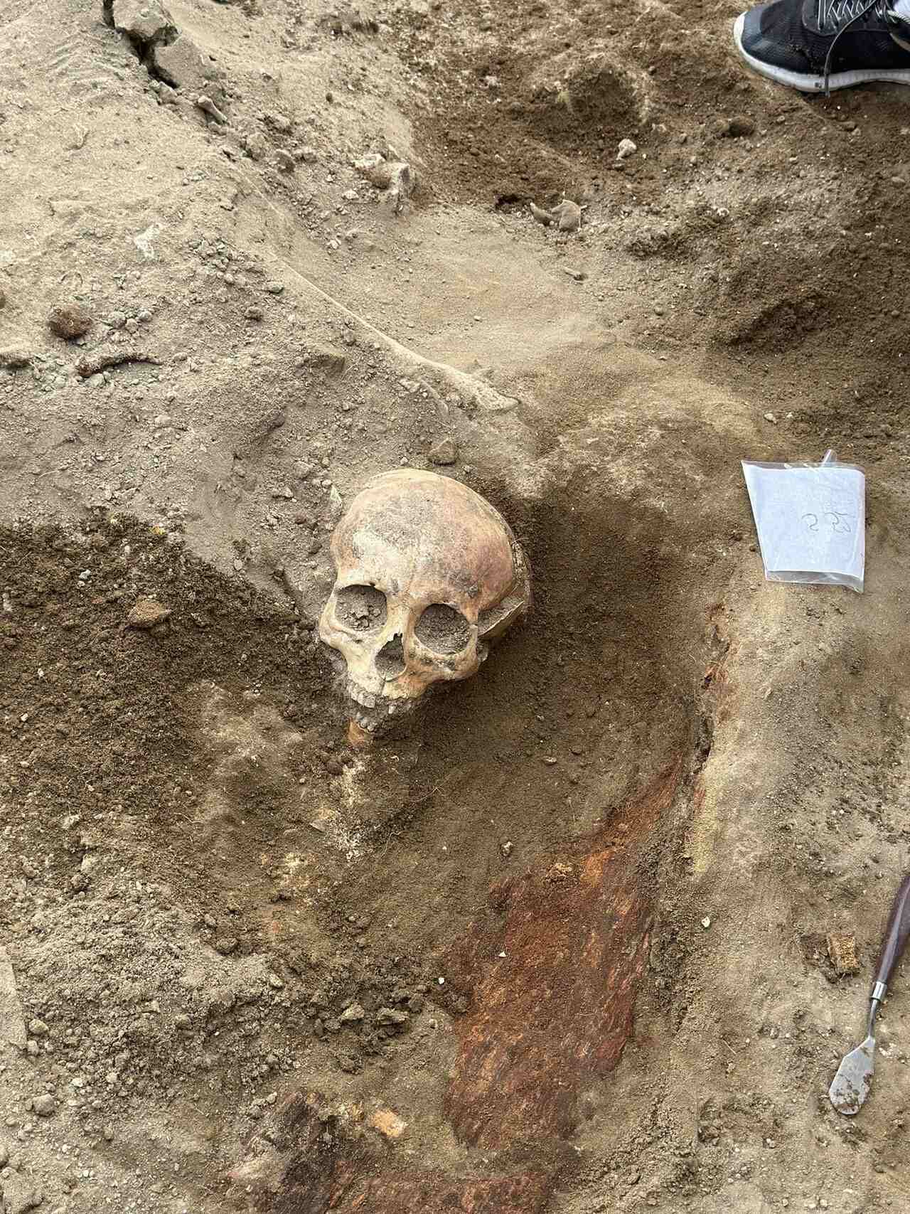 skull archaeology