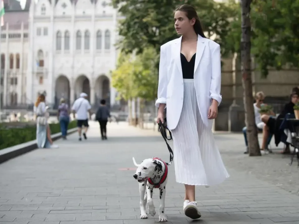 Budapest among Europe's pet friendly capital cities