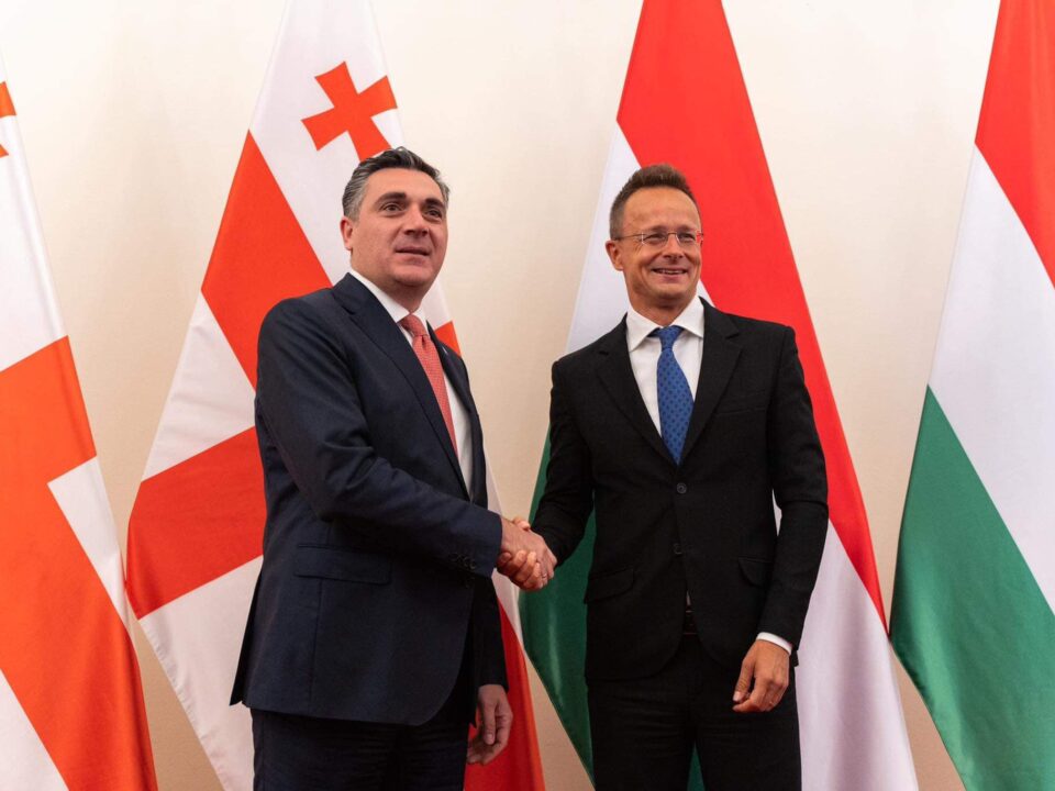 Hungary Georgia EU accession