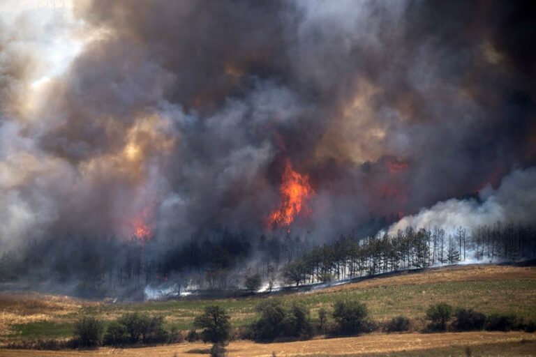 North Macedonia wildfires Hungarian aid