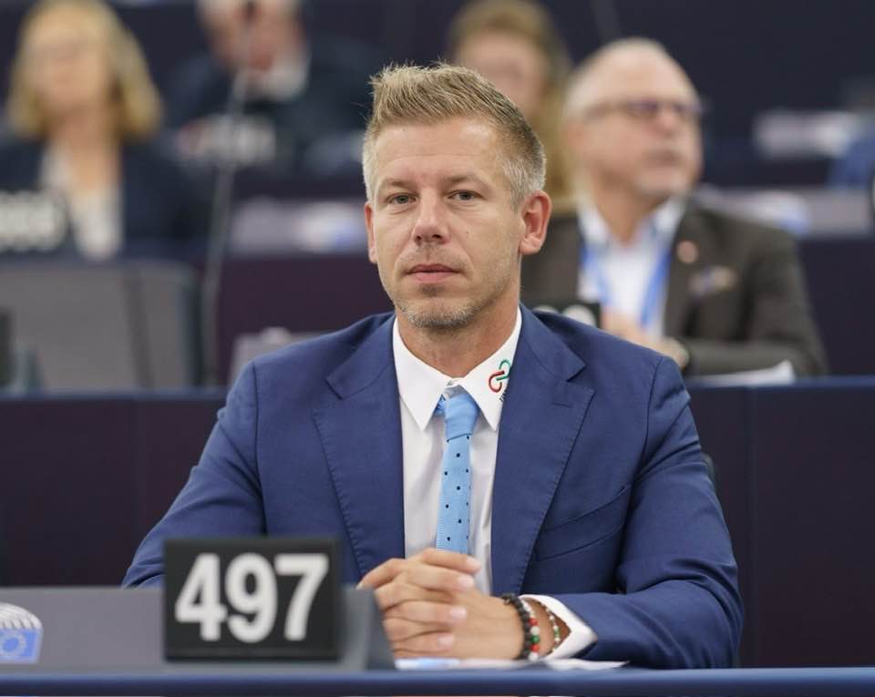 Péter Magyar in the European Parliament