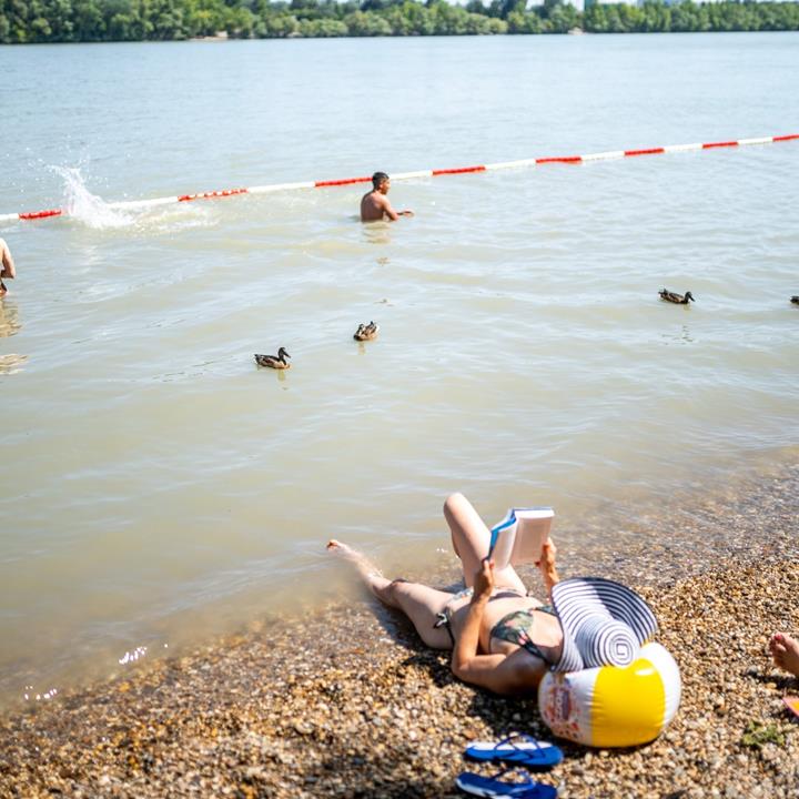 The only free Budapest Danube beach Plázs Római Beach