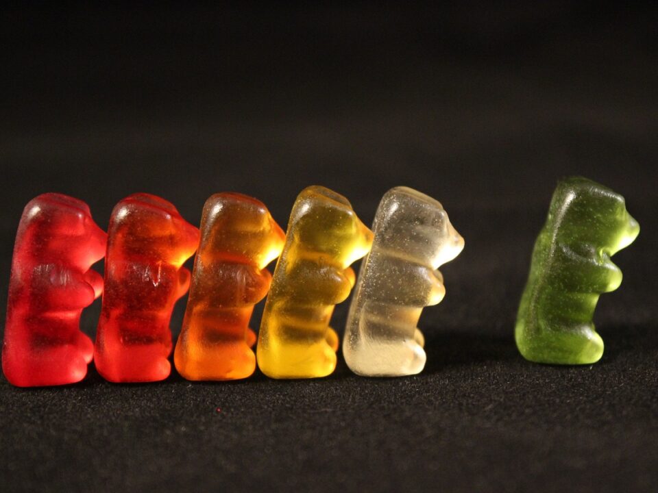 cannabis gummies bear