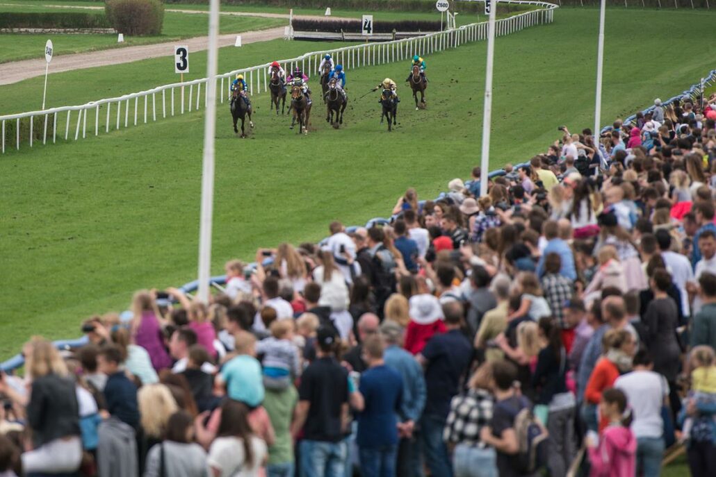 horses racing flat