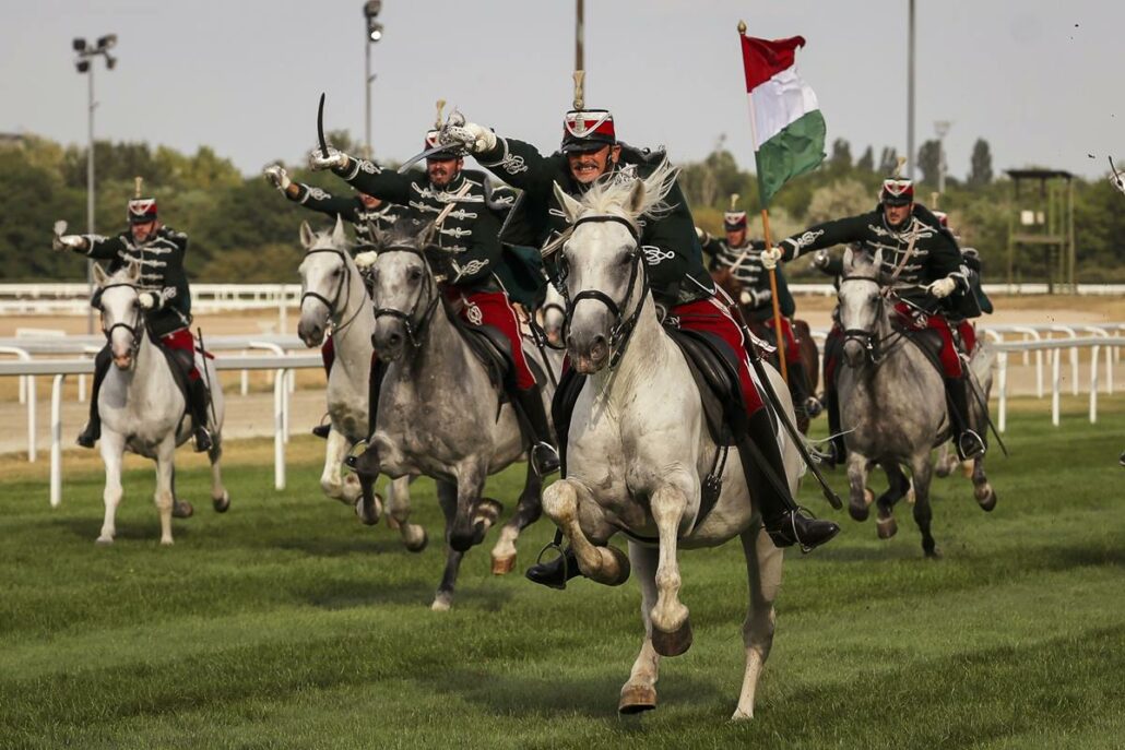 Dunau Derby Budapest Kincsem Park